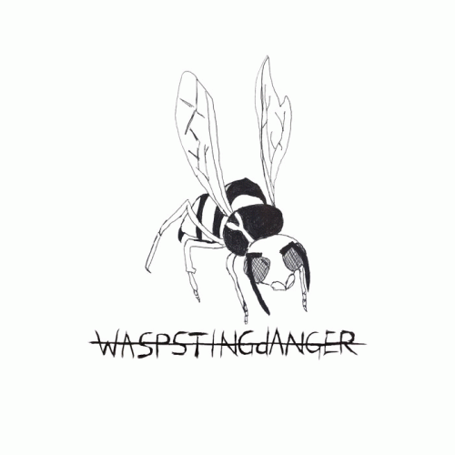 Wasp Sting Danger